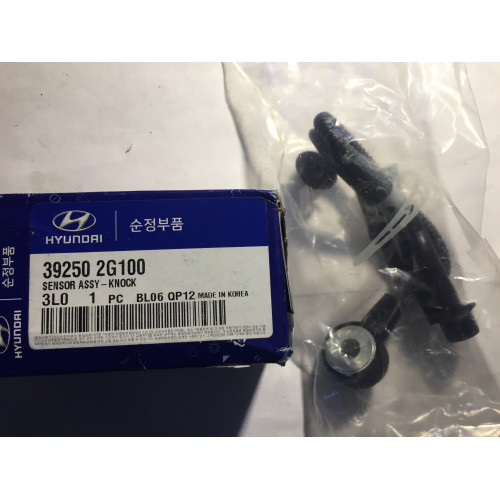 39250-2G100